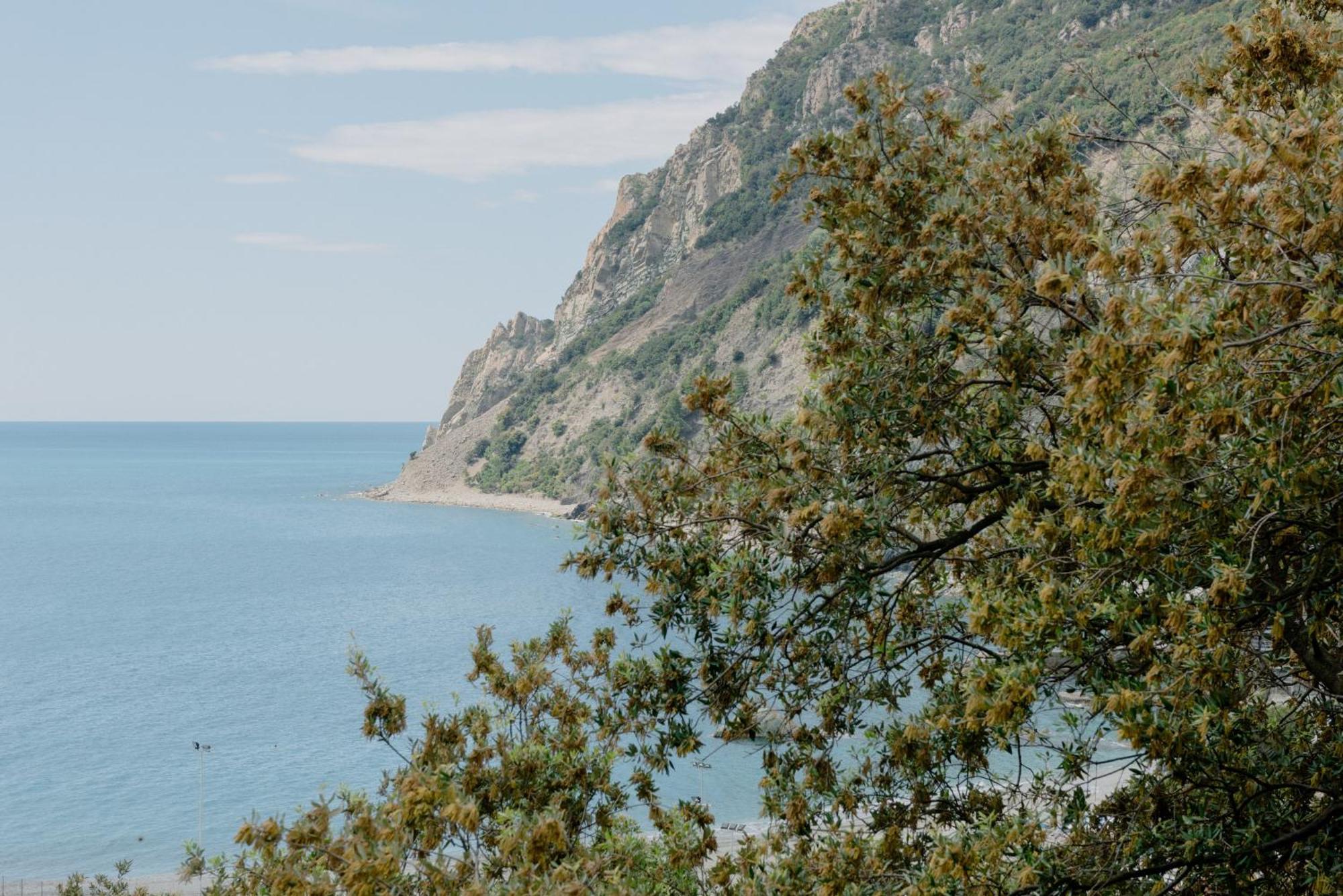 Fiordarancio Room Rental Monterosso al Mare Eksteriør billede